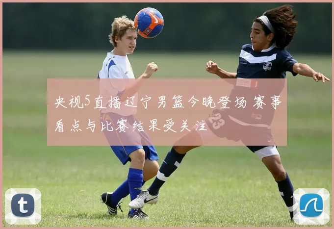 央视5直播辽宁男篮今晚登场 赛事看点与比赛结果受关注